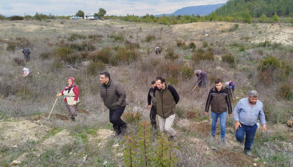 Bucak ormanında 2025 bakım programı çalışmaları denetlendi – Birlik Haber Ajansı