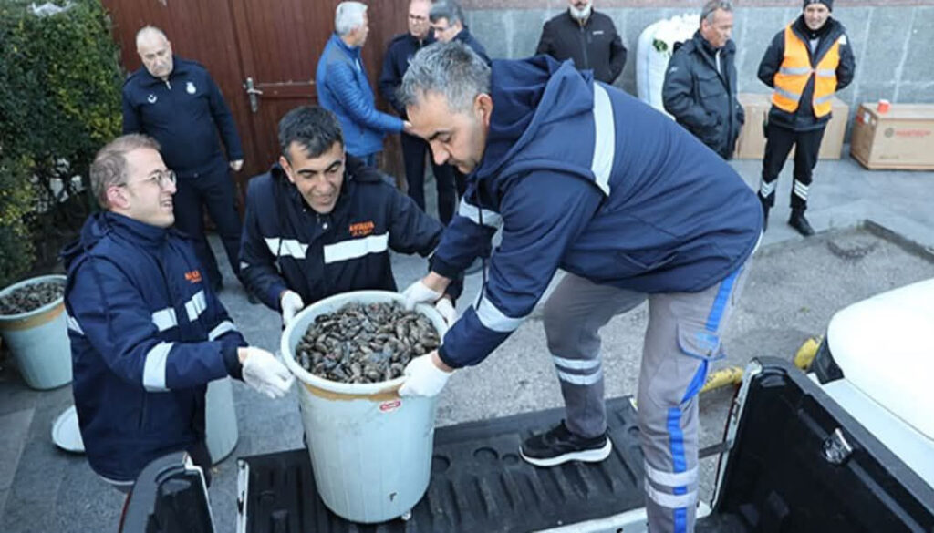 Antalya’da 300 kilogram sağlıksız midyeye el konuldu – Birlik Haber Ajansı