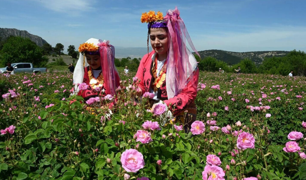 Isparta Uluslararası Gül Festivali 2025: Güller diyarında büyüleyici bir deneyim – Birlik Haber Ajansı