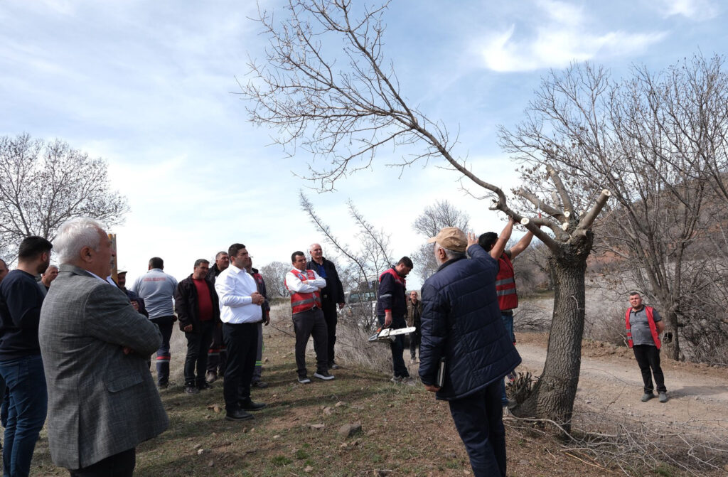 2 binin üzerinde Sakızlık ağacına Macun Mahallesinde aşılama – Birlik Haber Ajansı